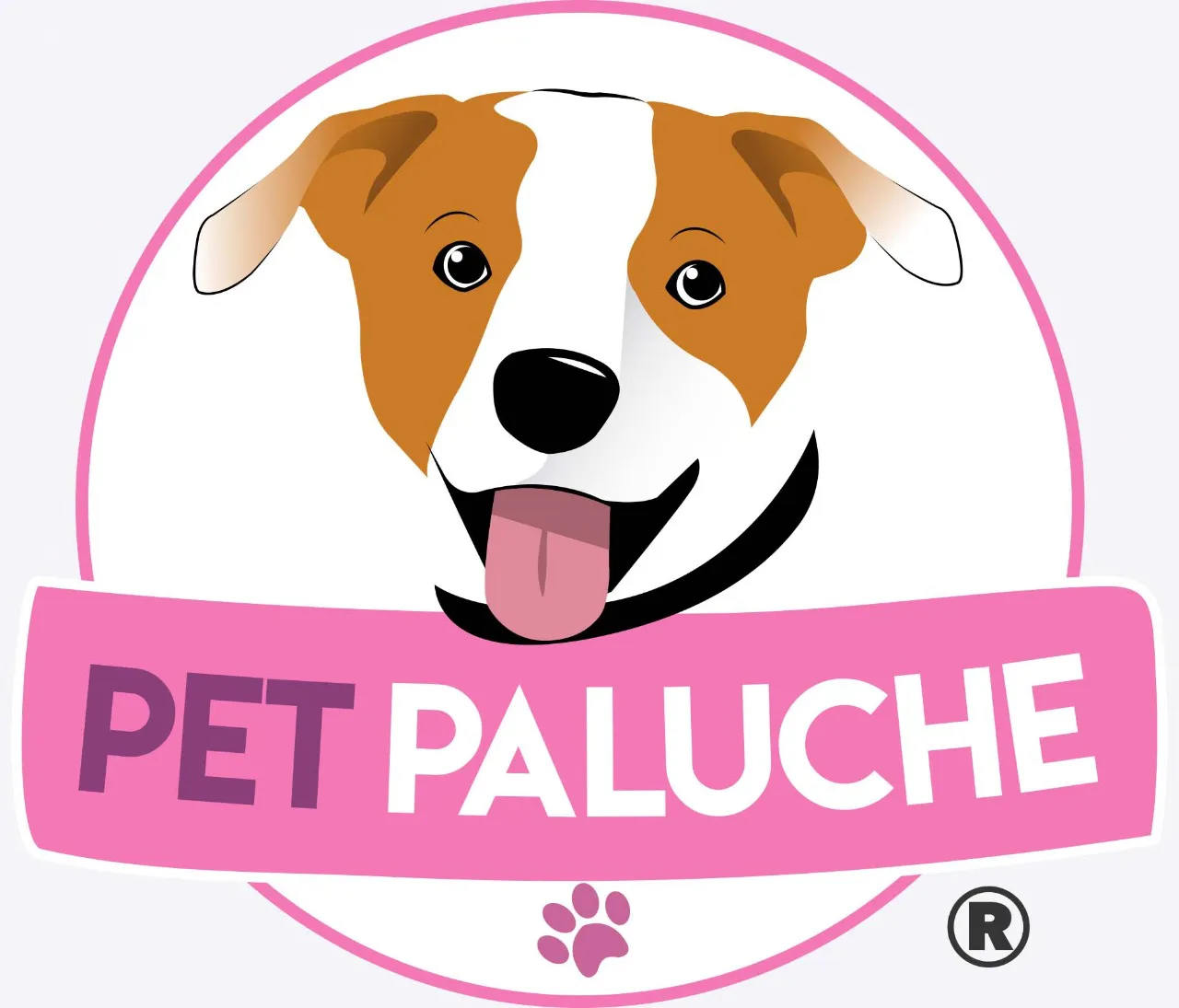 Cupom de Desconto Pet Paluche